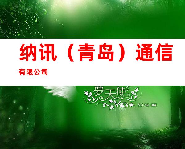 纳讯（青岛）通信有限公司